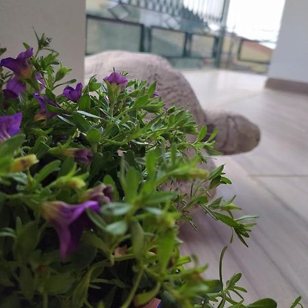 Appartement Attico Gloria & Greta à Castellammare del Golfo Extérieur photo