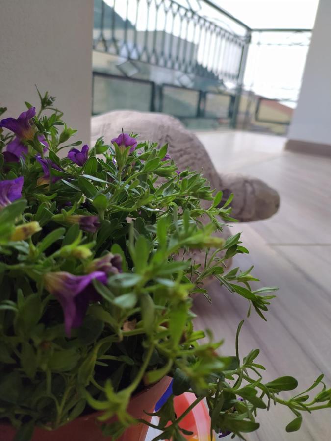 Appartement Attico Gloria & Greta à Castellammare del Golfo Extérieur photo
